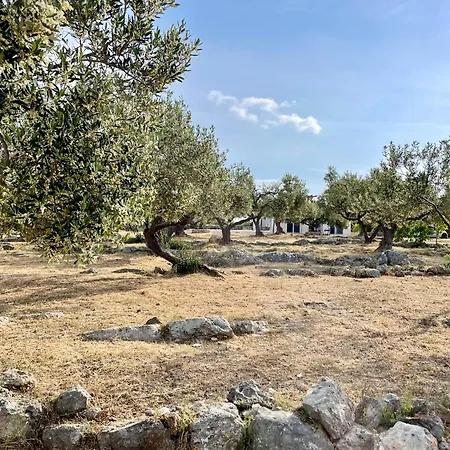 Berba - By Schmidts' Holiday home